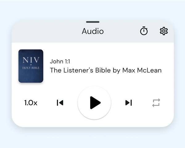 NIV Audio