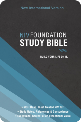 NIV Foundation Study Bible
