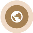 Maps and Charts icon