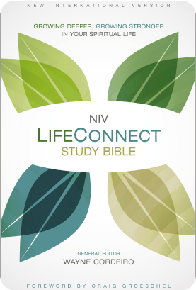 NIV LifeConnect Study Bible
