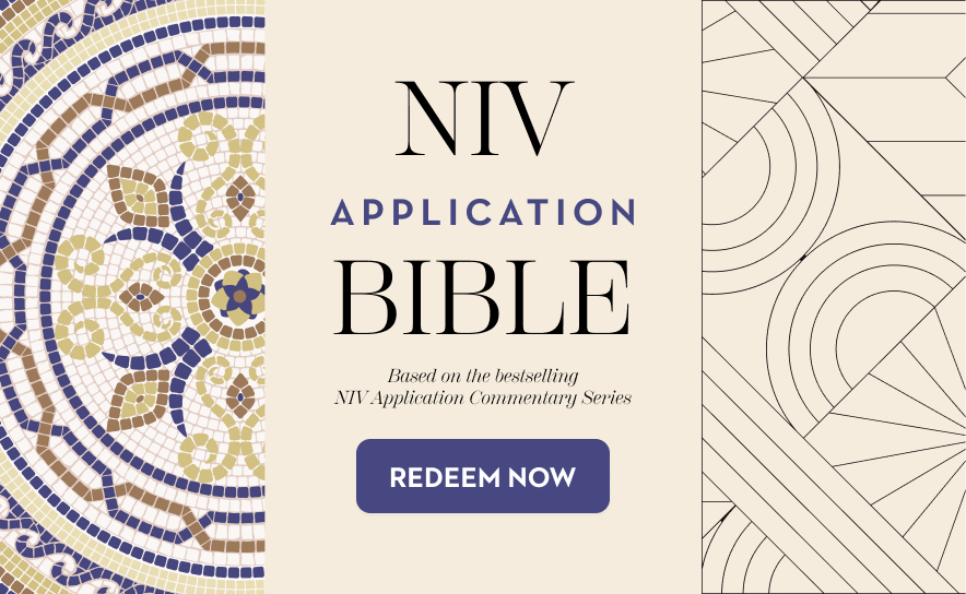 NIV Application Bible