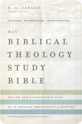 NIV Biblical Theology Study Bible
